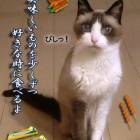 13位のイメージ