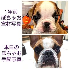 24位のイメージ