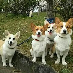 2788位のイメージ
