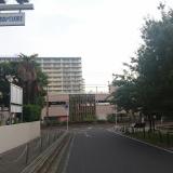 46位のイメージ