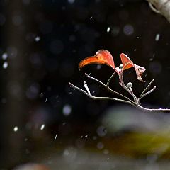 13位のイメージ