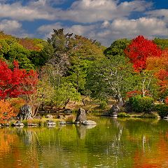 15位のイメージ