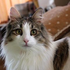 23位のイメージ