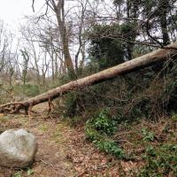 52位のイメージ