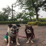 26位のイメージ