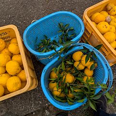 65位のイメージ