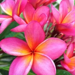 11位のイメージ