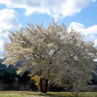 194位のイメージ