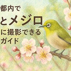 146位のイメージ