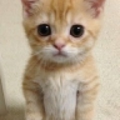 100位のイメージ