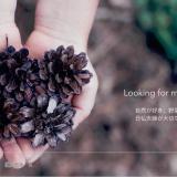 48位のイメージ