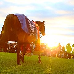 118位のイメージ