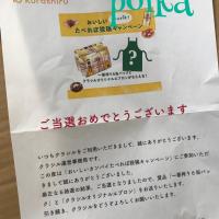 258位のイメージ