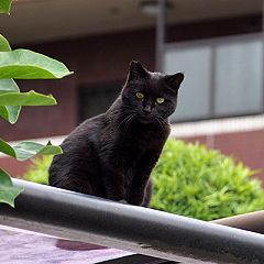 67位のイメージ