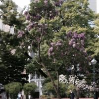 20904位のイメージ