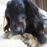 134位のイメージ