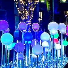 176位のイメージ