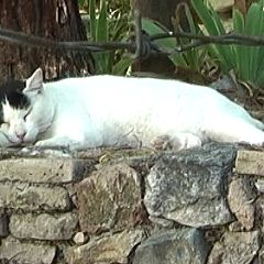 106位のイメージ