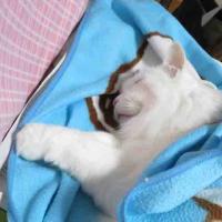 68位のイメージ