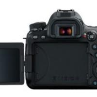 220位のイメージ