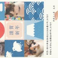 28位のイメージ