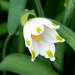 38位のイメージ