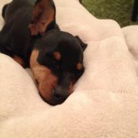 354位のイメージ