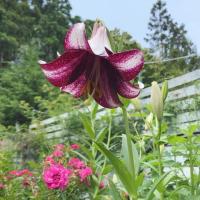 3254位のイメージ