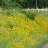 44位のイメージ