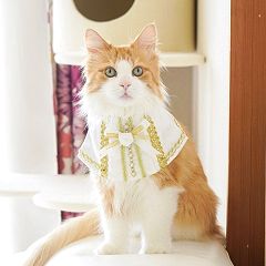 11位のイメージ