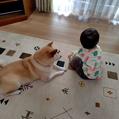 12位のイメージ