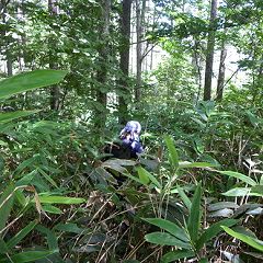 34位のイメージ