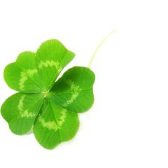 52位のイメージ