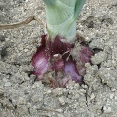 73位のイメージ