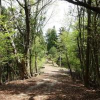 49位のイメージ