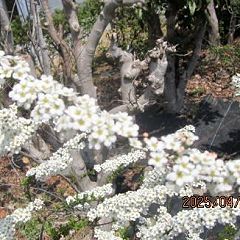 95位のイメージ