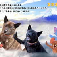 1525位のイメージ