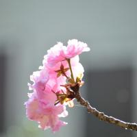 35位のイメージ