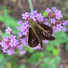 14位のイメージ