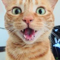 902位のイメージ