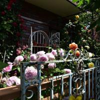 116位のイメージ