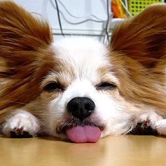 19位のイメージ