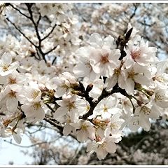 15位のイメージ