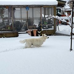 10位のイメージ