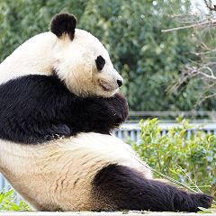 161位のイメージ