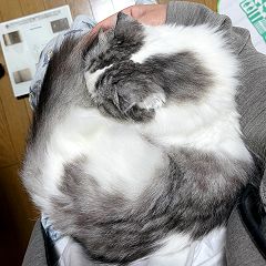 18位のイメージ