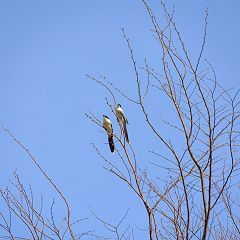 132位のイメージ