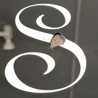 32位のイメージ