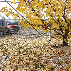 29位のイメージ