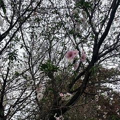 106位のイメージ